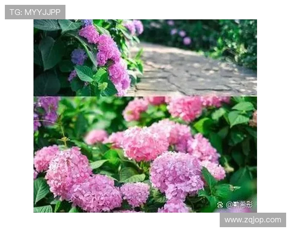 23 骞村墠鐨勪粖澶╋細缃楃撼灏斿鍙屽搷瀹氫咕鍧わ紝宸磋タ浜斿啝浼熶笟姘歌浇鍙插唽